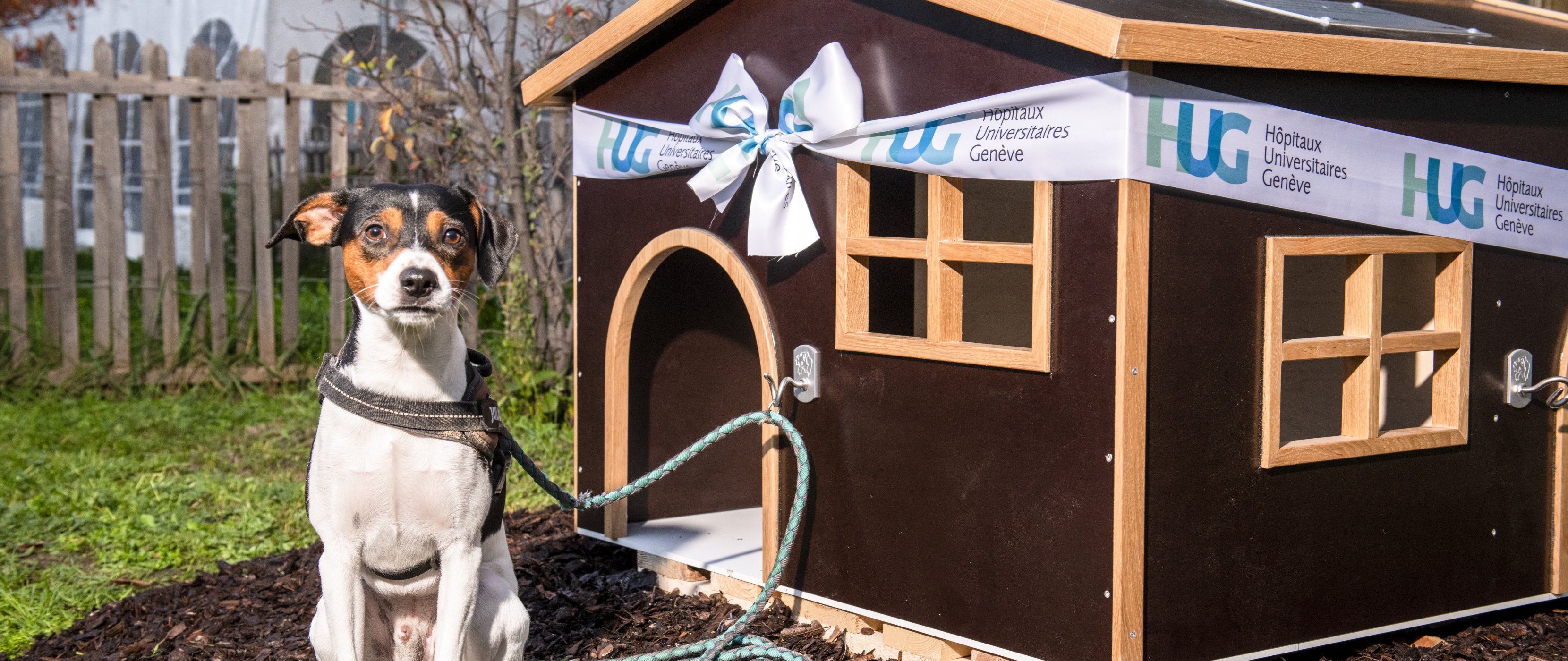 Niche pour chien devant l'hôpital