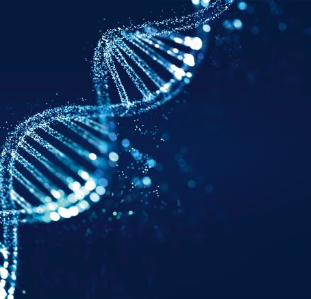 Image d'une structure ADN