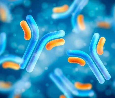 Realistic antibody immunoglobulin molecule background